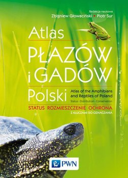 Atlas płazów i gadów Polski. Status, rozmieszczenie, ochrona z kluczami do oznaczania okładka