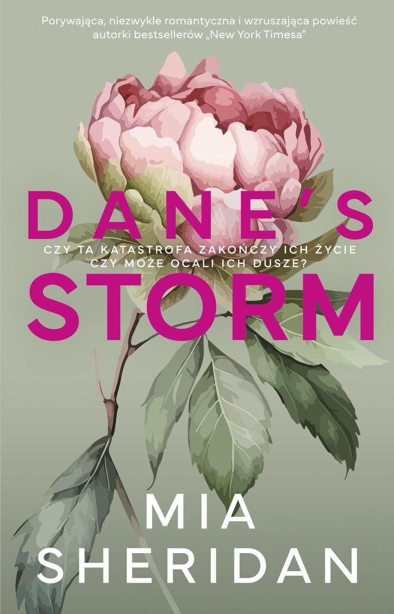 Dane's Storm okładka