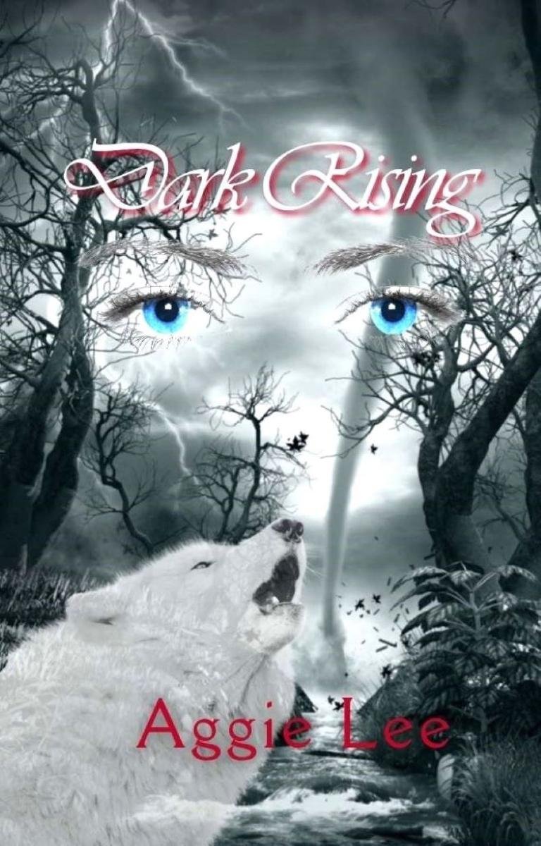 Dark Rising okładka