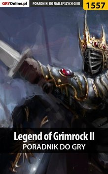 Legend of Grimrock 2 - poradnik do gry okładka
