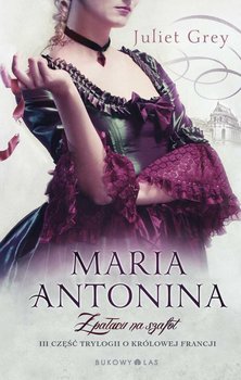 Maria Antonina. Z pałacu na szafot okładka