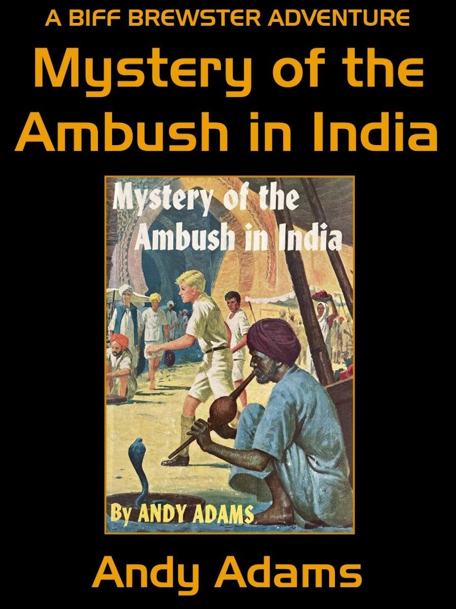 Mystery of the Ambush in India okładka